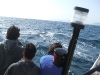 Adventures-Excursions-trips-Tarifa-Strait-Gibraltar-8-mayo-2