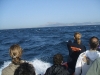 Adventures-Excursions-trips-Tarifa-Strait-Gibraltar-8-mayo-3