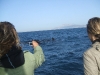 Adventures-Excursions-trips-Tarifa-Strait-Gibraltar-8-mayo-4