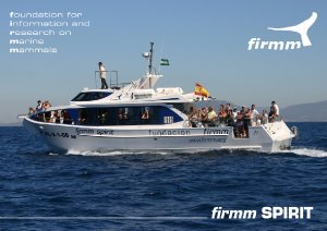 firmm_spirit