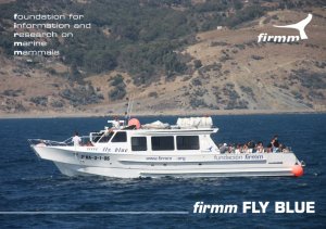 fly blue a4.indd