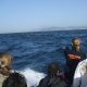 avistamiento-cetaceos-mayo3-estrecho-gibraltar-tarifa.jpg