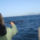 avistamiento-cetaceos-mayo4-estrecho-gibraltar-tarifa.jpg