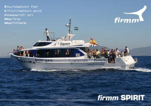 firmm_spirit
