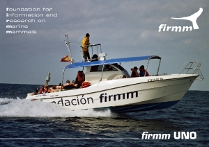 firmm_uno