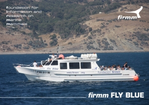 fly blue a4.indd